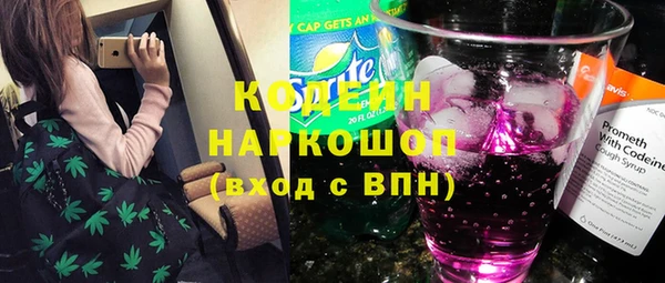 ECSTASY Алзамай