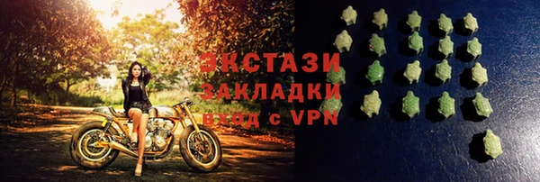 ECSTASY Алзамай
