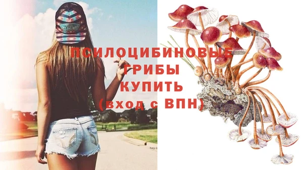 индика Абдулино