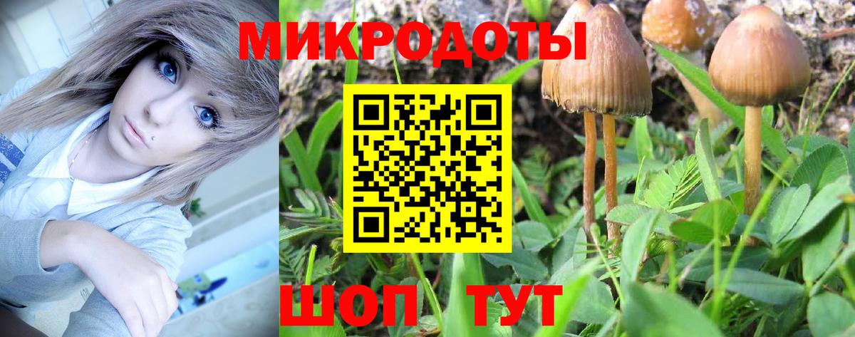 Галлюциногенные грибы Cubensis  Псилоцибиновые грибы ЛСД  Вход с VPN  Кострома 